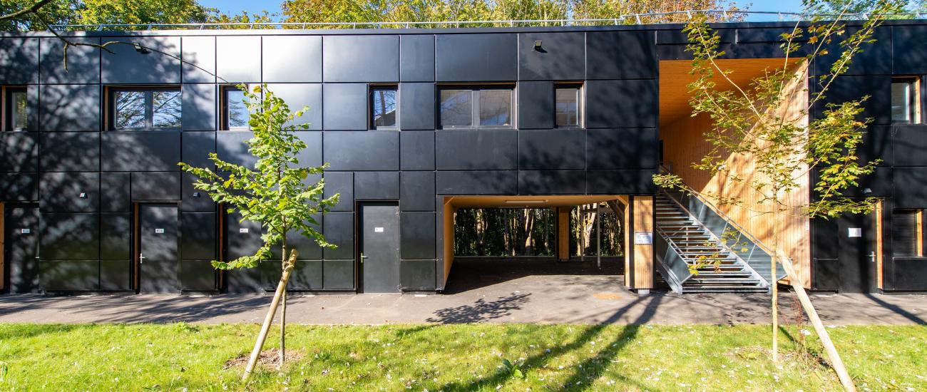 Szkoła modułowa z fasadą 